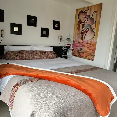 Homestay Harlingen-2